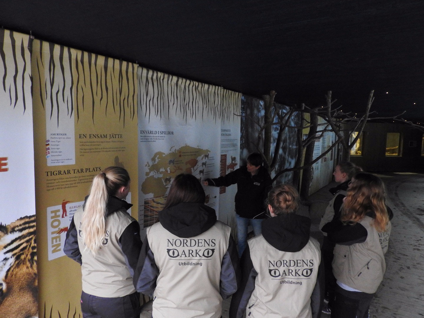 Universitet & Högskola