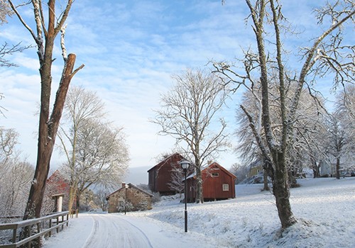 Bild Program i parken 26-30/12 & 2-6/1