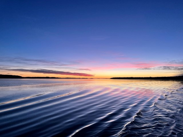 Upptäck omgivningarna