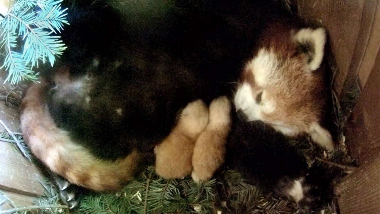 Bild Storytelling på rummen