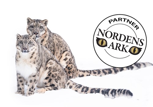 Bild Som partner får ni: