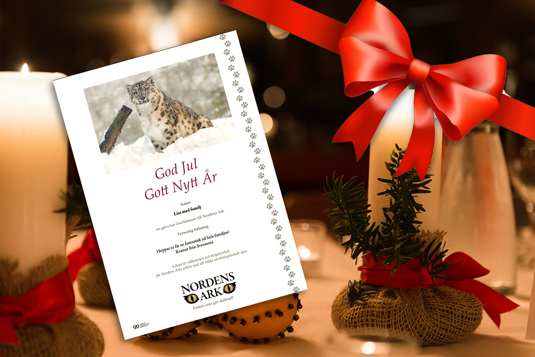 Bild Skänk en julgåva