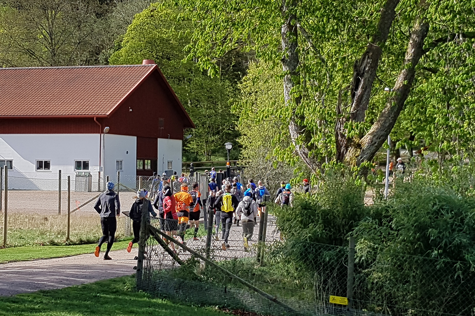 Nordens Ark TrailRun 2025 Nordens Ark