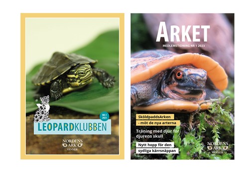 Bild Tidningarna är digitala