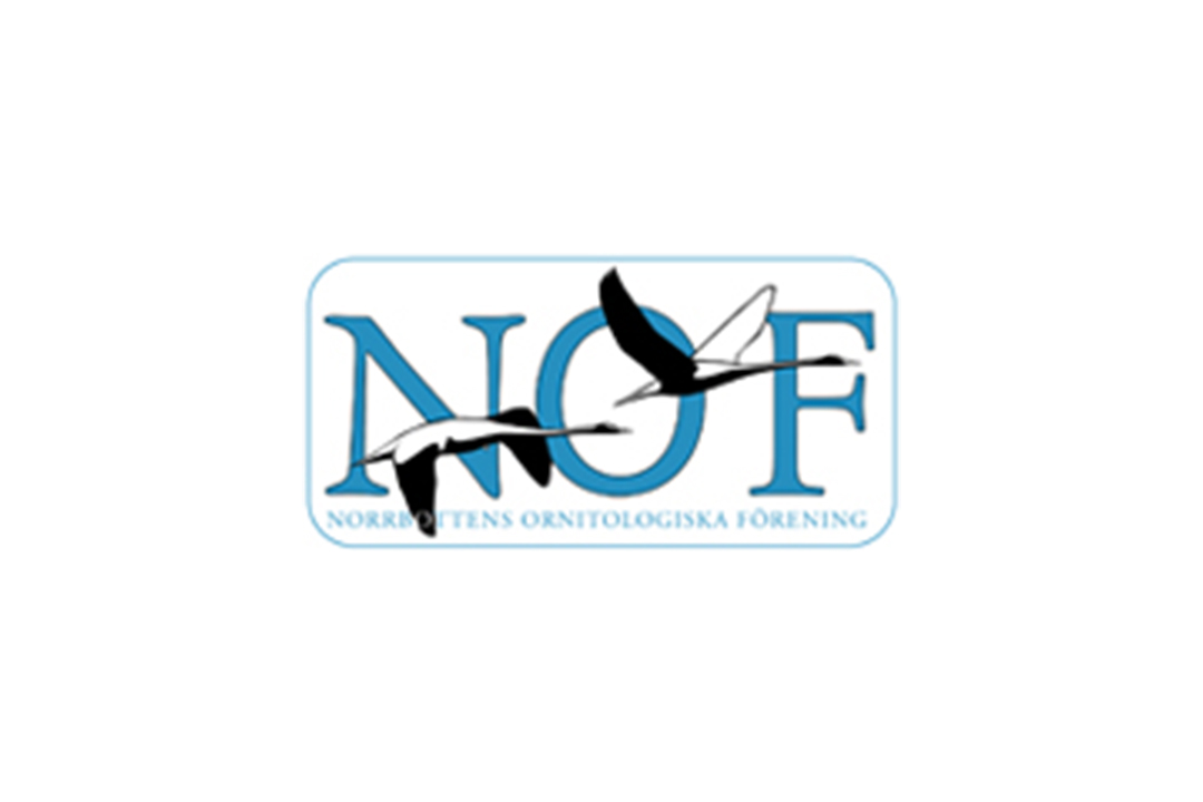 Norrbottens ornitologiska förening