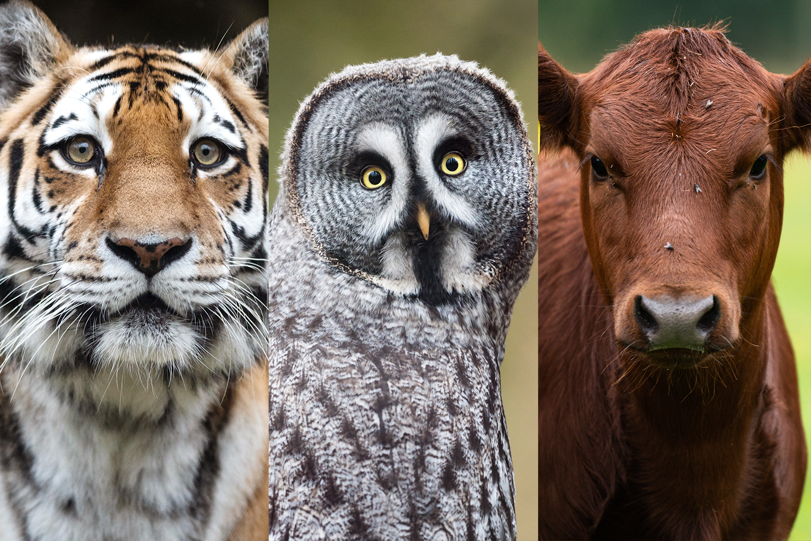 Bild Boka ett Mäktigt möte