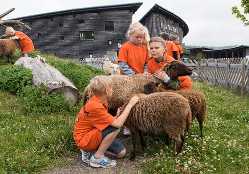 Bild Sommarläger på Nordens Ark