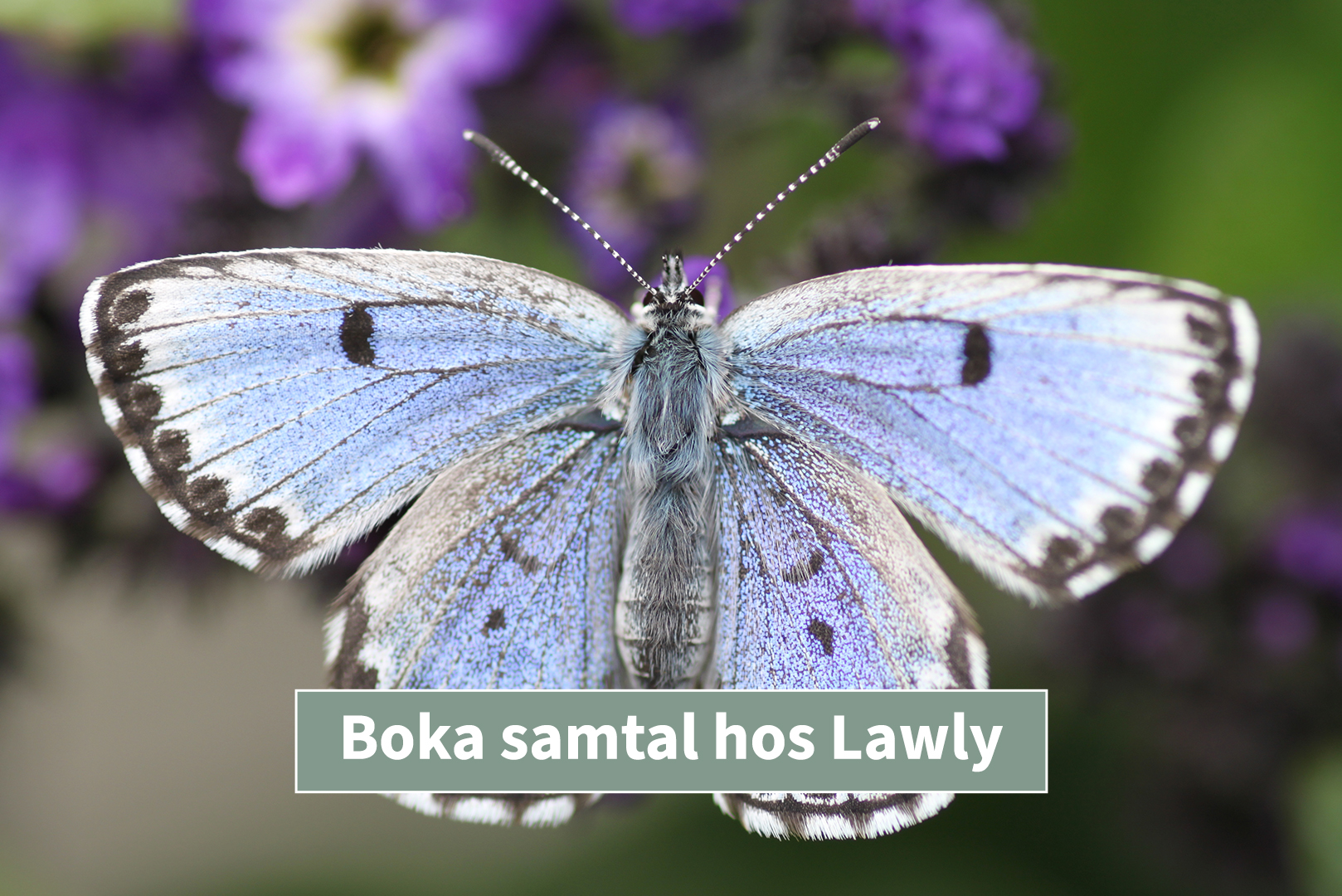 Boka ett kostnadsfritt möte