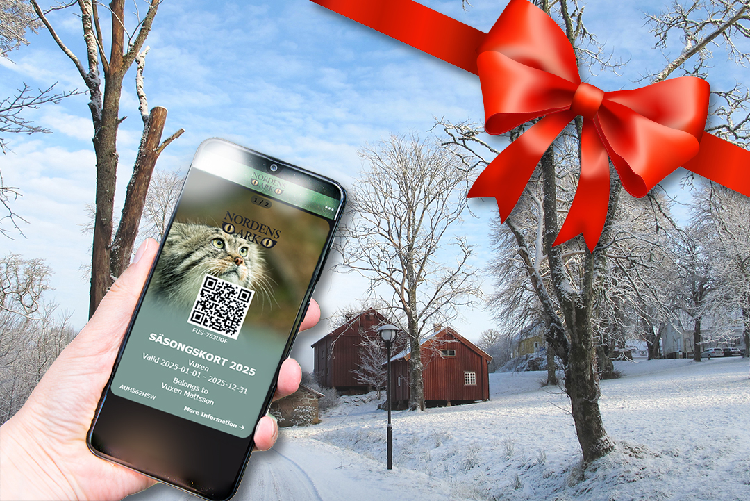 Ge bort säsongskort 2026