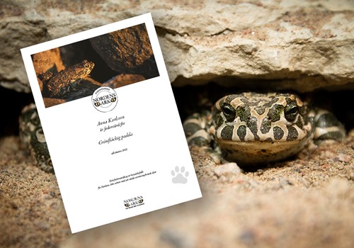 Bild Det här får du som fodervärd