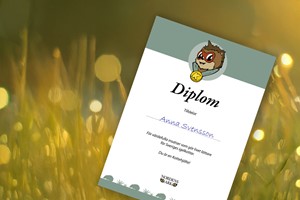 Kottehjälte-diplomet