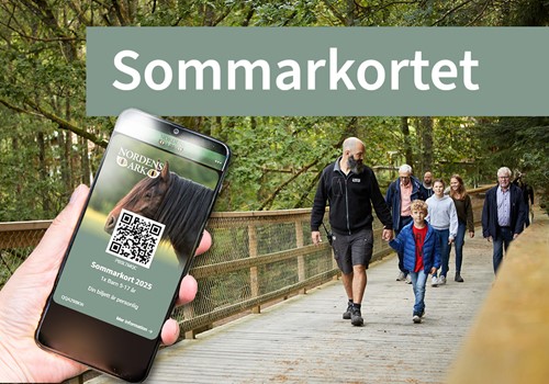 Bild Sommarkortet 2025