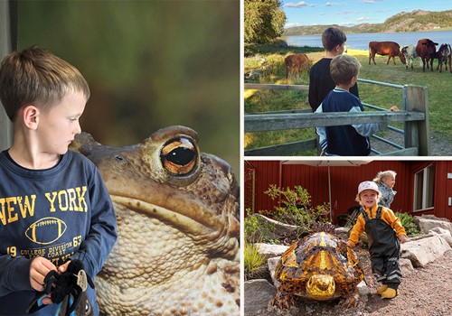 Bild Erbjudande: Barn under 12 år bor gratis!