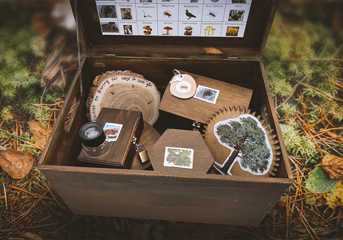 Bild Escape Box – Höstlovsutmaning i Tigerhuset