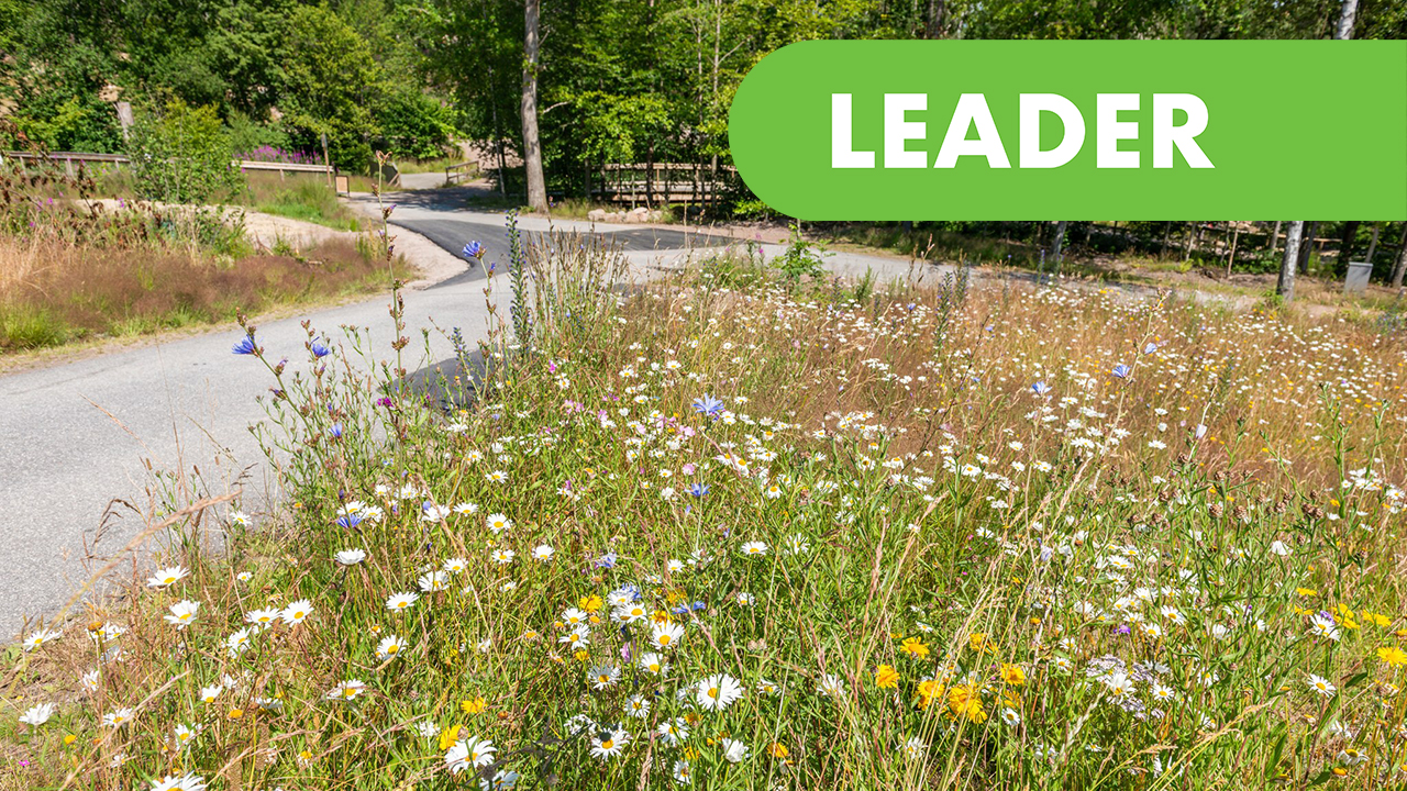 Nordens Ark -Projektledare