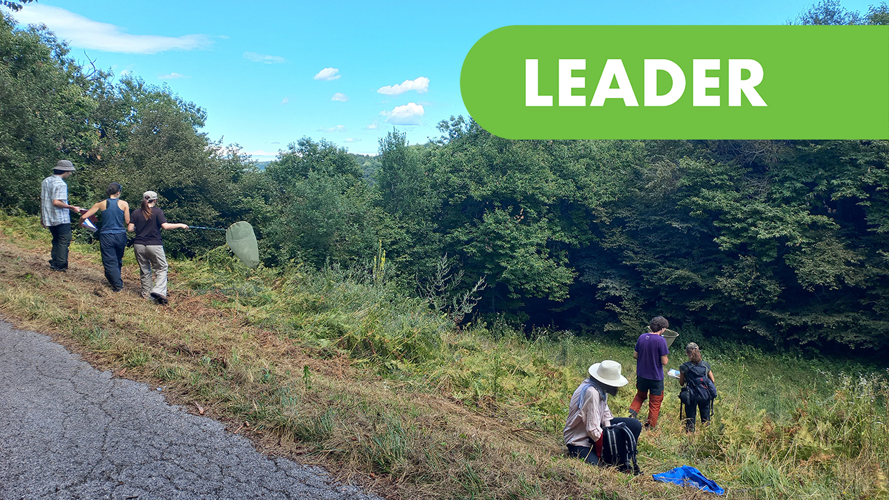 Unito DBIOS DISAFA -Projektledare