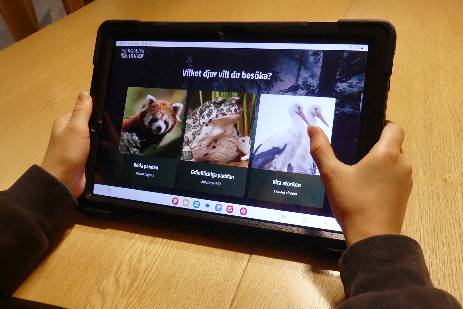 Filmer och quiz i appen