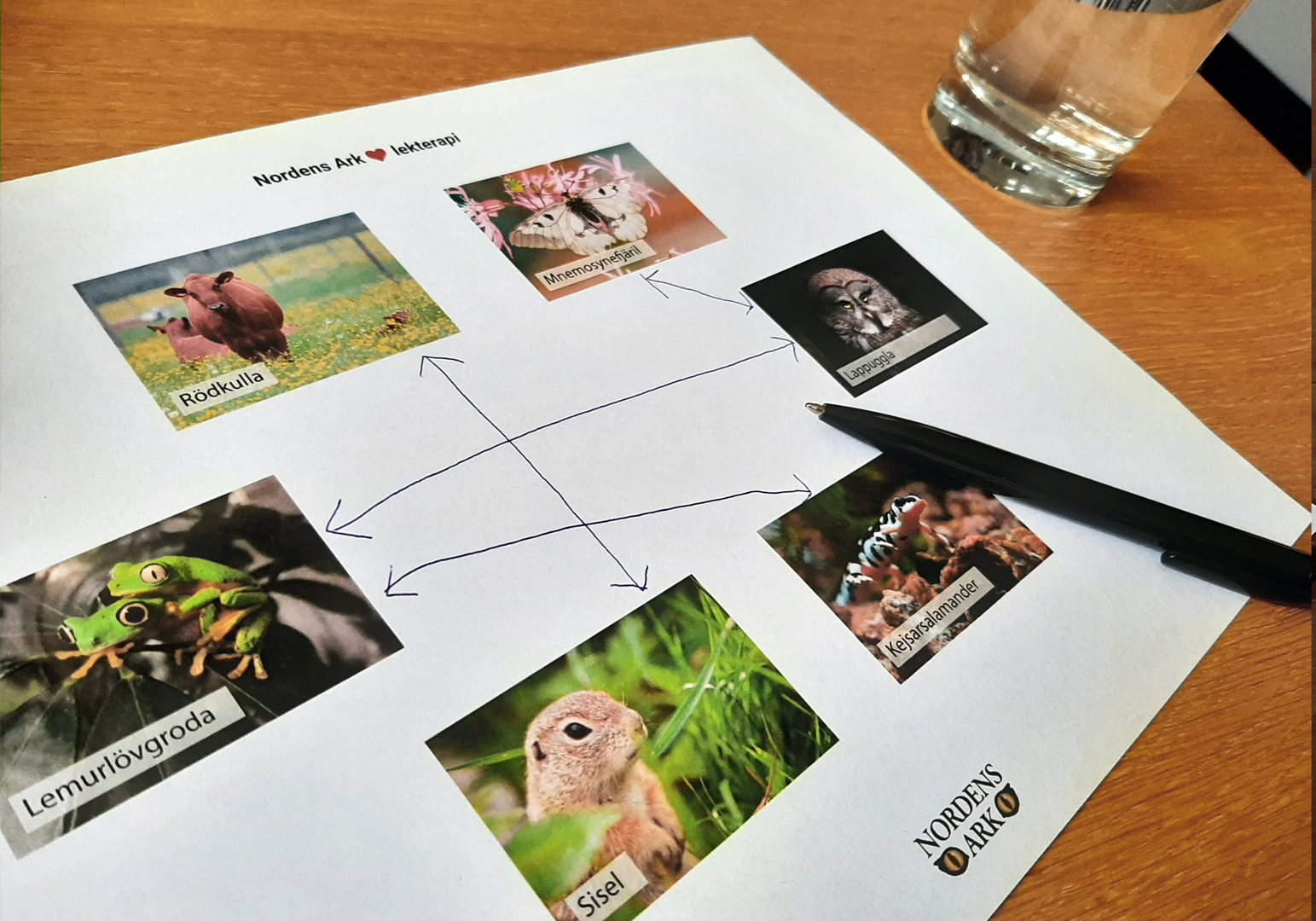 Bild Pyssel att ladda ner till lekterapin