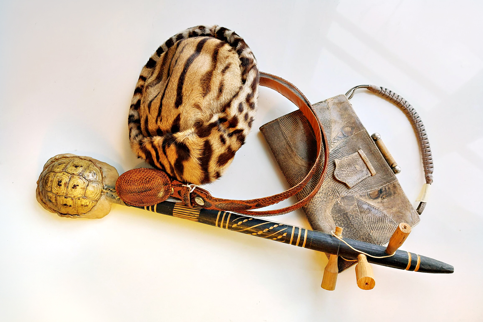 Bild Spännande utställningar i Tigerhuset