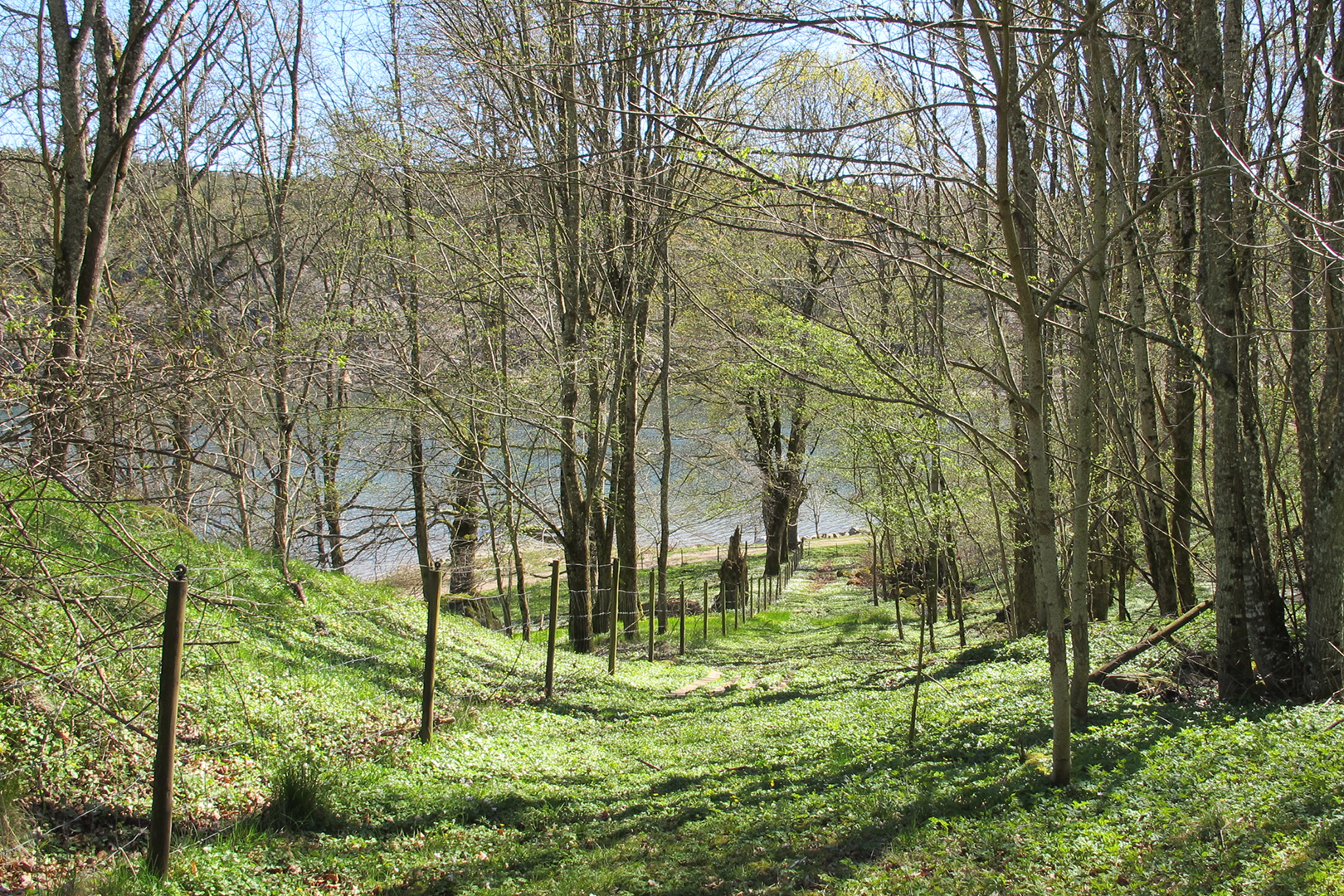 Bild Vårvandringar på Åby säteri