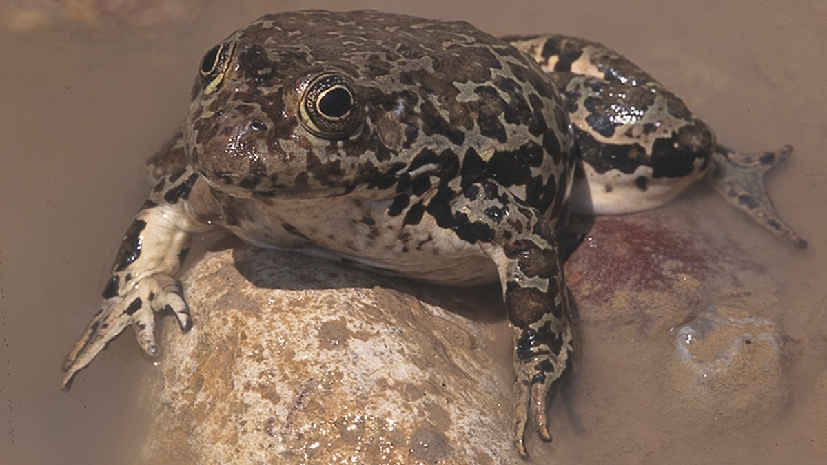 Milosgroda (00000003).jpg